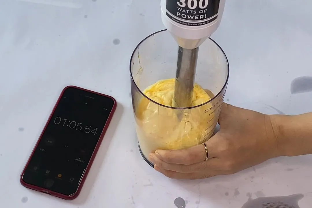 A Hands on Review With the Cuisinart CSB-179 Smart Stick Hand Blender