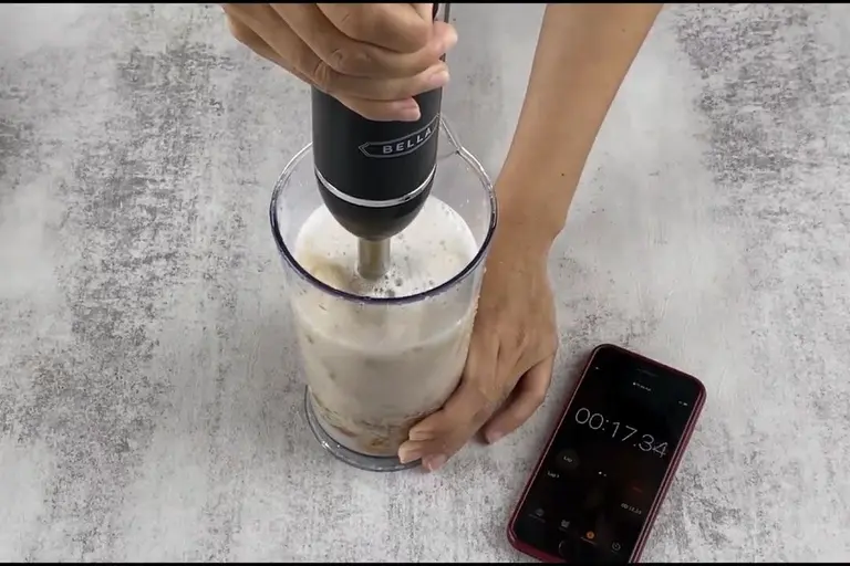 The Bella 10-Speed Immersion Blender In-depth Review - Healthy Kitchen 101