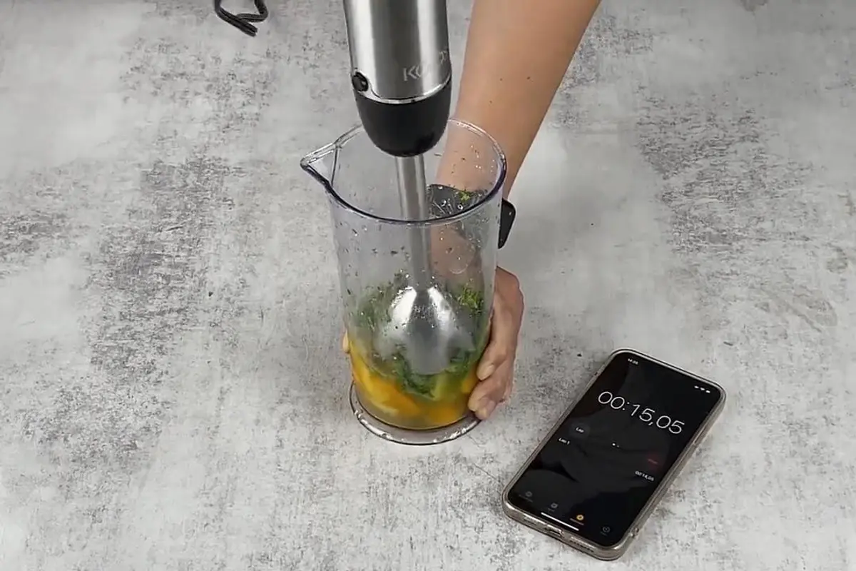 KOIOS 4-In-1 Immersion Smoothie