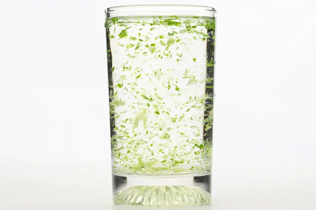A glass of water with fibrous green pulp produced by the Ninja Fit personal blender.
