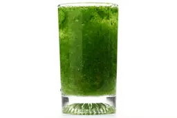 A glass of water with fibrous greens pulp produced by the KOIOS Bullet Single-Serve Blender.