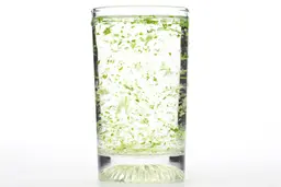 A glass of water combined with fibrous greens pulp produced by the Ninja Fit Single-Serve Blender.