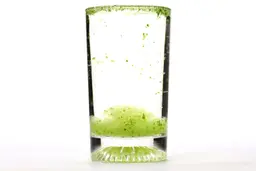 A glass of water with fibrous green pulp produced by the Nutribullet Pro 900-watt Personal Blender sinking from its top to bottom.