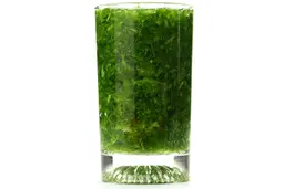 A glass of water with fibrous greens pulp produced by the Hamilton Beach Single-Serve Blender.