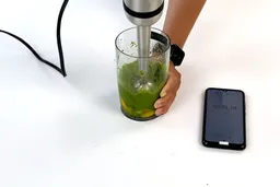 All Clad 10942212300 Immersion Smoothie Test