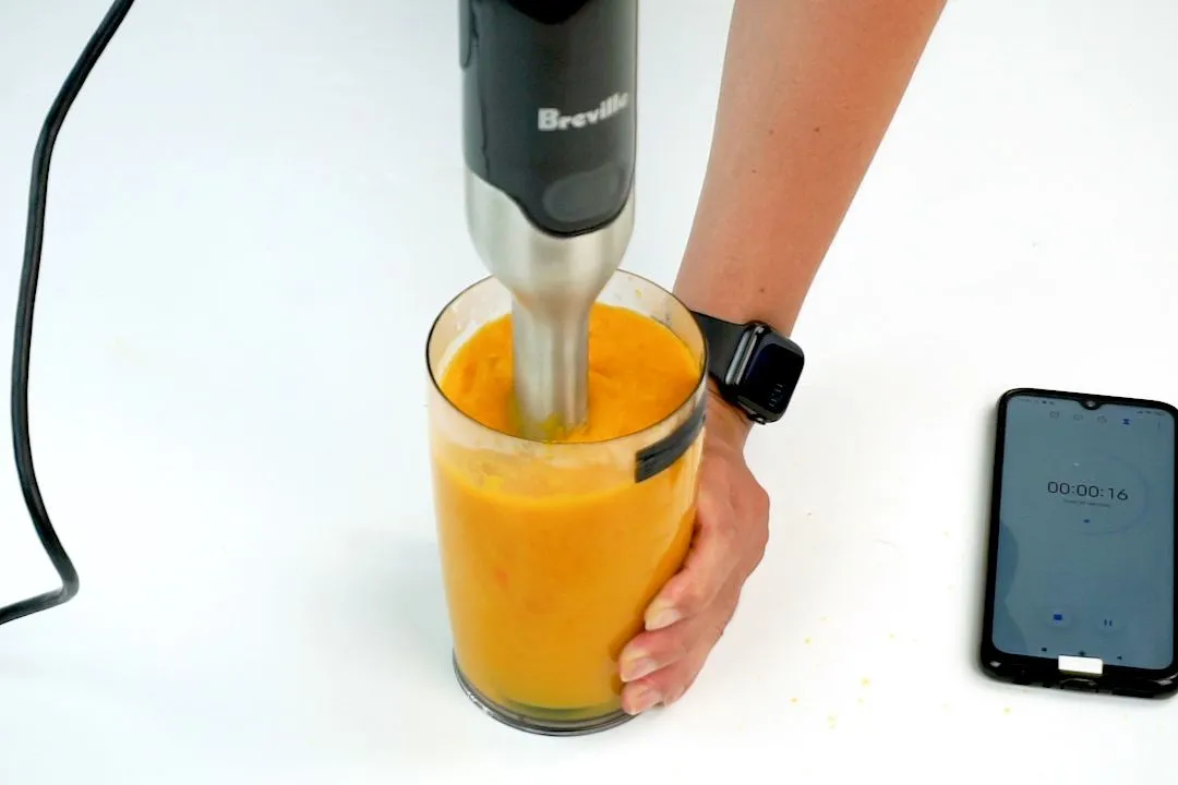 Breville Control Grip BSB510XL Blender Review - Consumer Reports