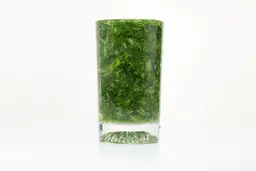 A glass of water and with fibrous greens pulp produced by the PopBabies Single-Serve Blender.