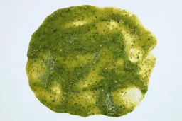 After finishing blending, the green smoothie made by the Elite Gourmet EHB-2425X immersion blender was spread evenly throughout a white paper to check for solid chunks.