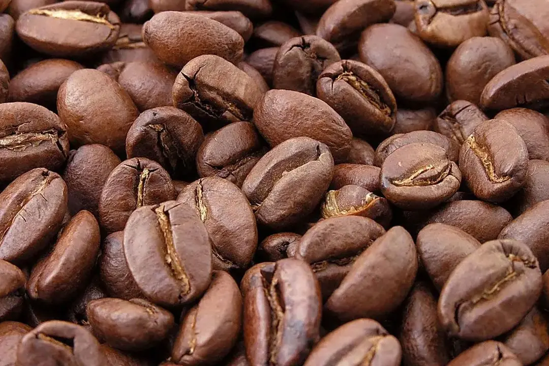 Pre-Ground-vs.-Fresh-Ground-in-Coffee-Maker