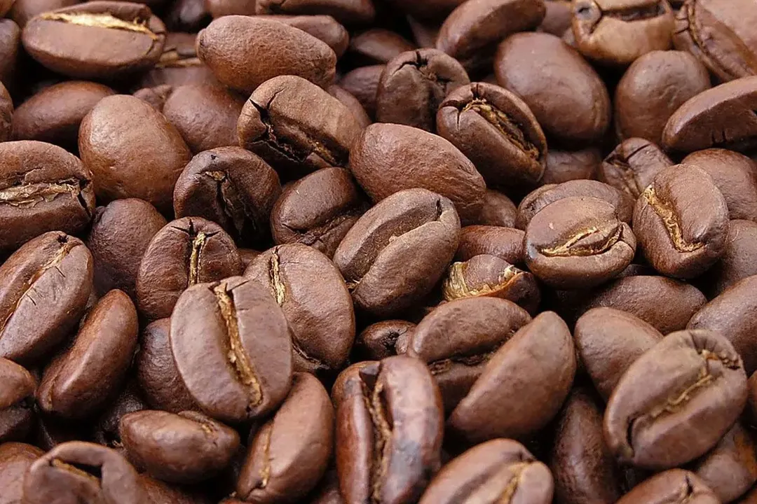 Pre-Ground-vs.-Fresh-Ground-in-Coffee-Maker