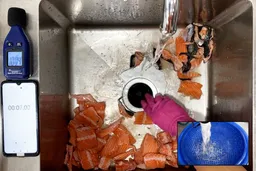 AmazonCommercial 1/2 HP Raw Fish Scraps Test