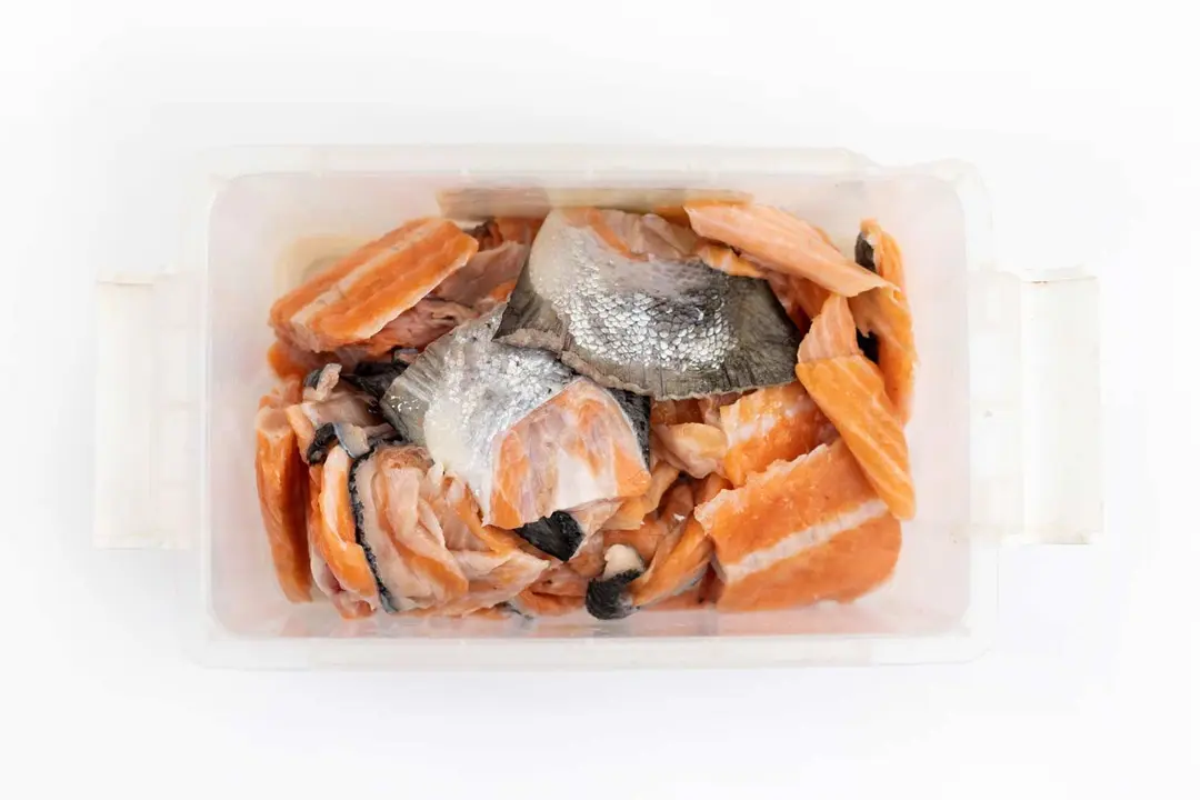 Chopped-up raw salmon scraps in translucent plastic container prepared for testing, displayed on white top.
