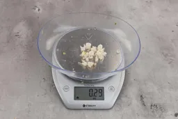 0.29 ounces of shredded pieces of fish backbone, on digital scale, on granite-looking top.