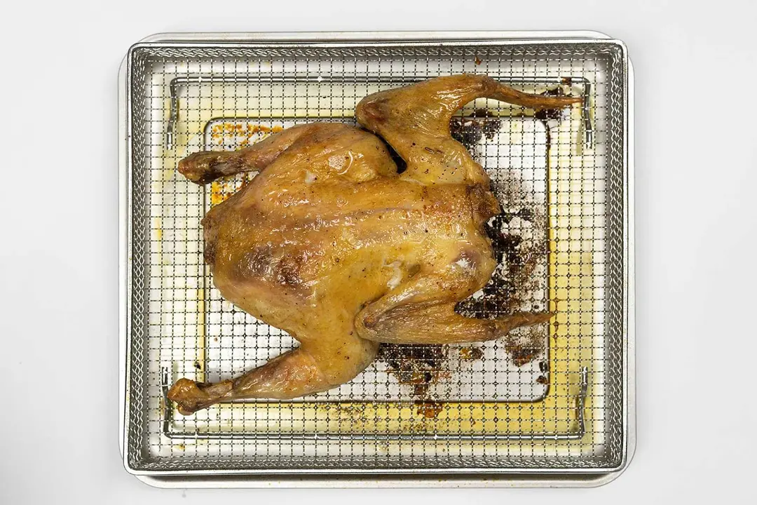 A golden brown whole roasted chicken using a toaster oven on a white background. The chicken is spread out and back-side up inside an air fryer basket with a silver baking pan below.