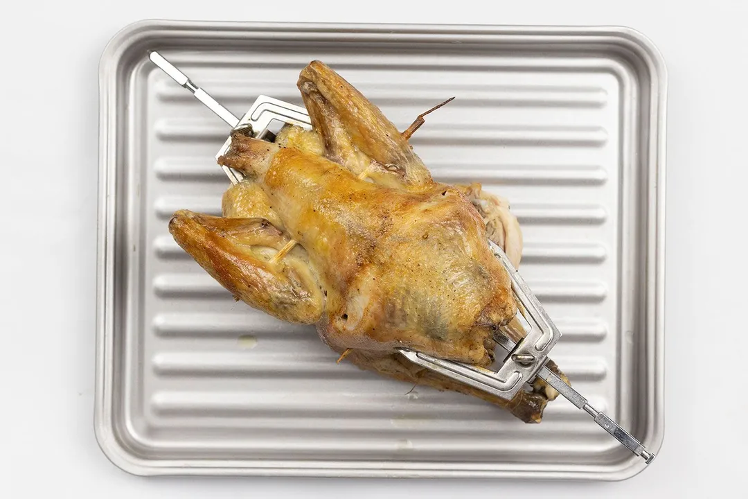 A golden brown whole roasted rotisserie chicken using a toaster oven inside a silver baking pan on a white background.