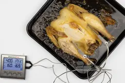 A tray of whole toaster oven roasted chicken. The thermometer has two probes inside the chicken and displays 168°F and 171°F.
