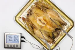 A tray of whole toaster oven roasted chicken. The thermometer has two probes inside the chicken and displays 183°F and 189°F.