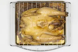 A whole roasted chicken using the Hamilton Beach 31401 Toaster Oven on a baking rack and baking pan on a white background.