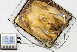 A tray of whole toaster oven roasted chicken. The thermometer has two probes inside the chicken and both display 176°F.