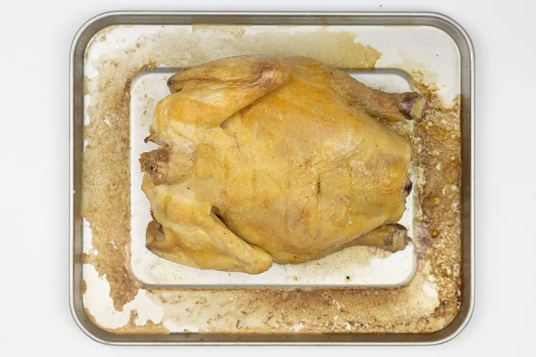 A whole roasted chicken using the Hamilton Beach 31127D 6-Slice Toaster Oven on a silver baking pan on a white background.