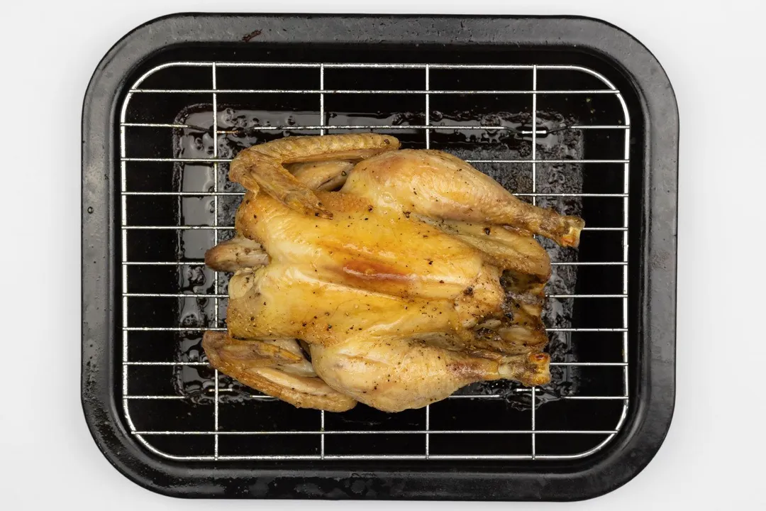 A whole roasted chicken using the Oster TSSTTVMNDG-SHP-2 on a broiling rack and enamel baking pan on a white background.