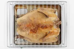 A whole roasted chicken using the Black+Decker TO1760SS backside up on an oven rack and baking pan on a white background.