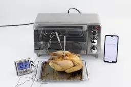 A tray of whole toaster oven roasted chicken. The thermometer has two probes inside the chicken and displays 185°F and 187°F.