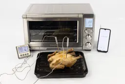 A tray of whole toaster oven roasted chicken. The thermometer has two probes inside the chicken and both display 198°F.