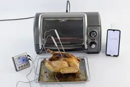 A tray of whole toaster oven roasted chicken. The thermometer has two probes inside the chicken and displays 174°F and 183°F.