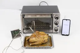 A tray of whole toaster oven roasted chicken. The thermometer has two probes inside the chicken and displays 185°F and 192°F.