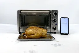 Mueller 4 Slice Toaster Oven Whole Roasted Chicken Test