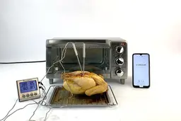 Black and Decker 4 Slice Toaster Whole Roasted Chicken Test