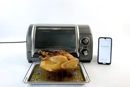Hamilton Beach Easy Reach 4 Slices Toaster Oven Whole Roasted Chicken Test