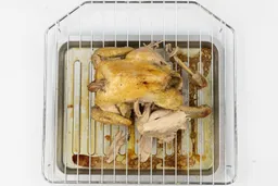 A whole roasted chicken using a toaster oven on a white background. The chicken is belly up on a baking rack with a silver baking pan below.