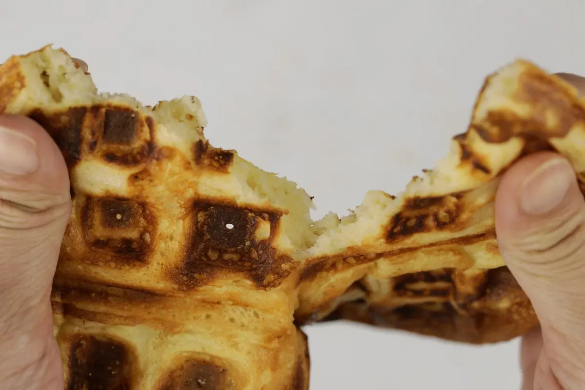 Oster Waffle Maker  Self-Mixed Recipe