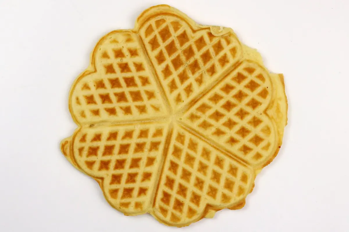Euro Cuisine waffle maker Bottom color result