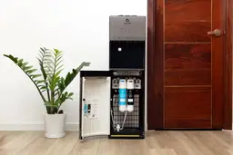 Full front view of the Avalon A5 water cooler dispenser standing between a plant to the left and a cupboard to the right