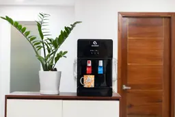 Avalon A8 Countertop Bottleless Water Cooler standing on an office counter with a potted plant to the left.