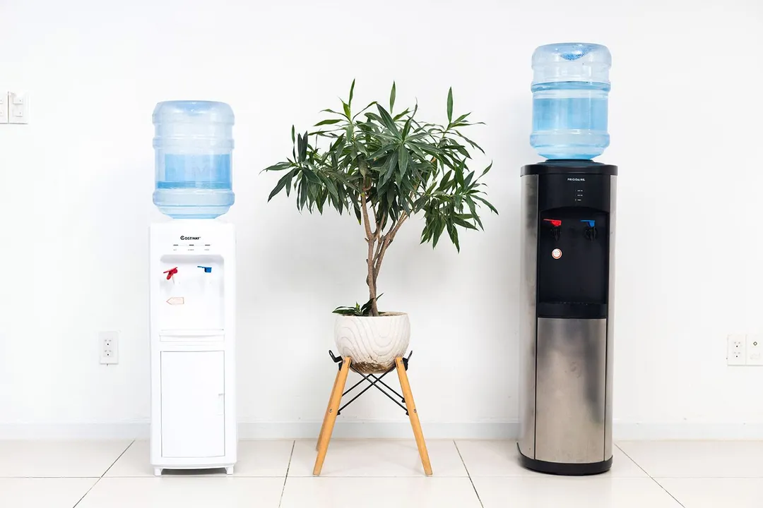 Costway 5 Gallon vs Frigidaire Stainless Steel Water Cooler Dispenser