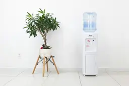 The freestanding Costway water cooler dispenser against a white wall with a potted plant to the left side.