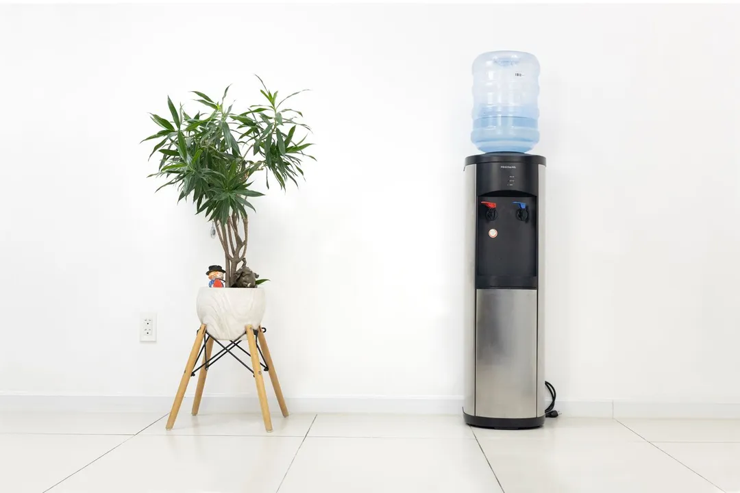Full front view of the Frigidaire EFWC519 water cooler dispenser with a water bottle mounted on top and a plant to the left.