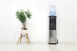 Full front view of the Frigidaire EFWC519 water cooler dispenser with a water bottle mounted on top and a plant to the left.