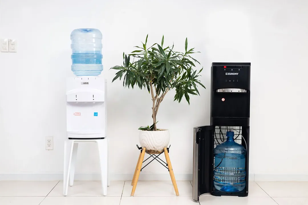 Igloo Countertop vs Euhomy Bottom Loading (WC-C) Water Cooler Dispenser