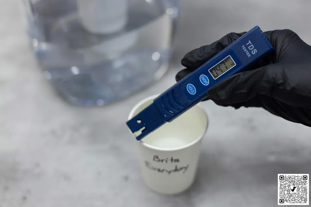 A gloved hand holding a water TDS meter over a paper cup with Brita Everyday written on it and the lower part of a water filter pitcher