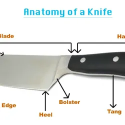 Anatomy of knife