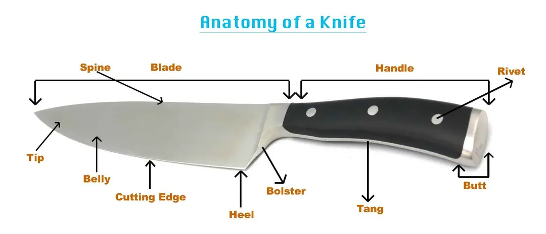Anatomy of knife