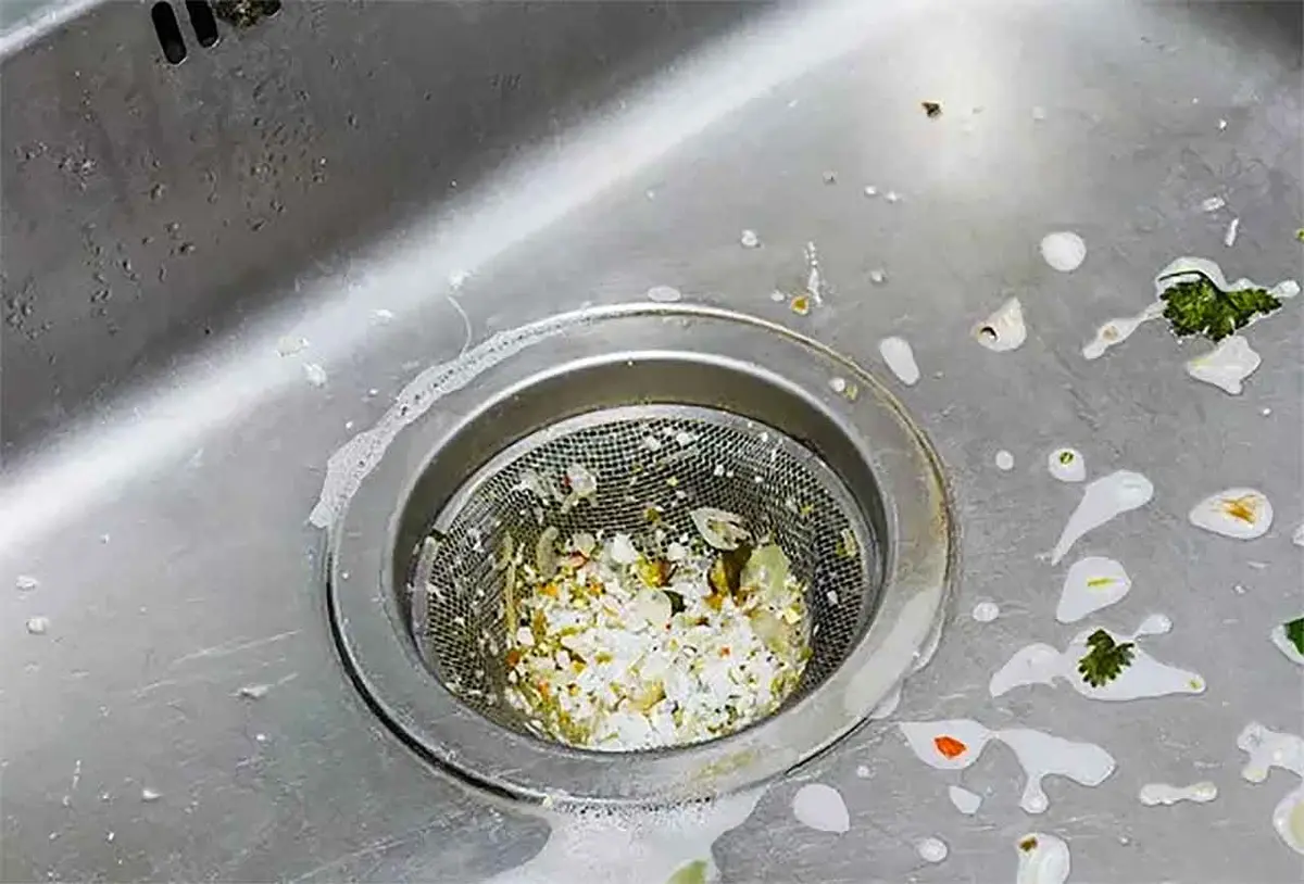 How to a Clean Garbage disposal