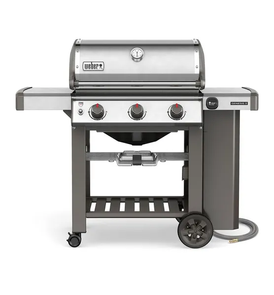 Top 10 Best Gas Grills In 2020 Buyer S Guide Reviews,Severe Macaw Chestnut Fronted Macaw