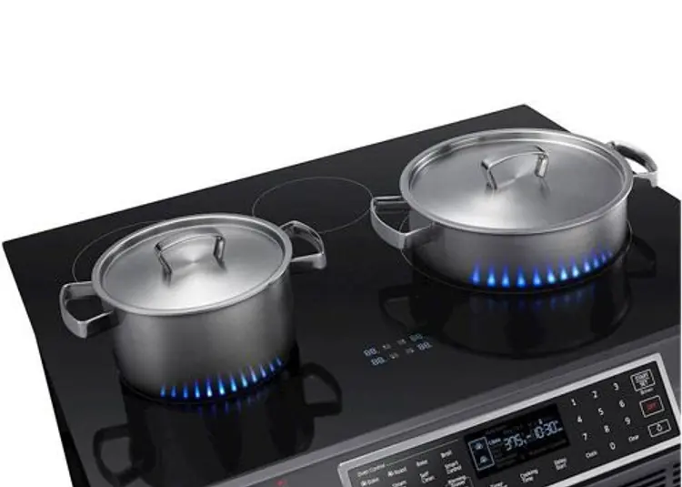 The Induction Plate electric range review