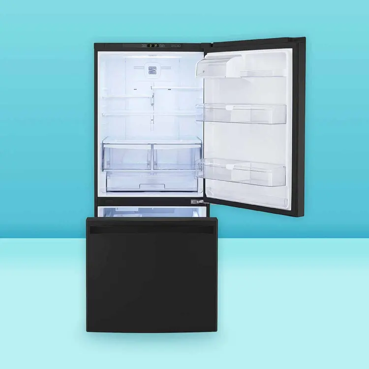Best Bottom Freezer Refrigerators 2021